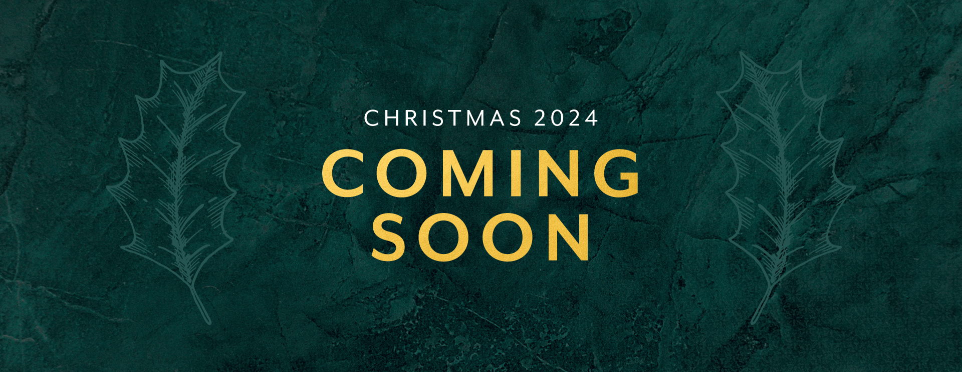 Christmas 2024 at Mappleborough Green